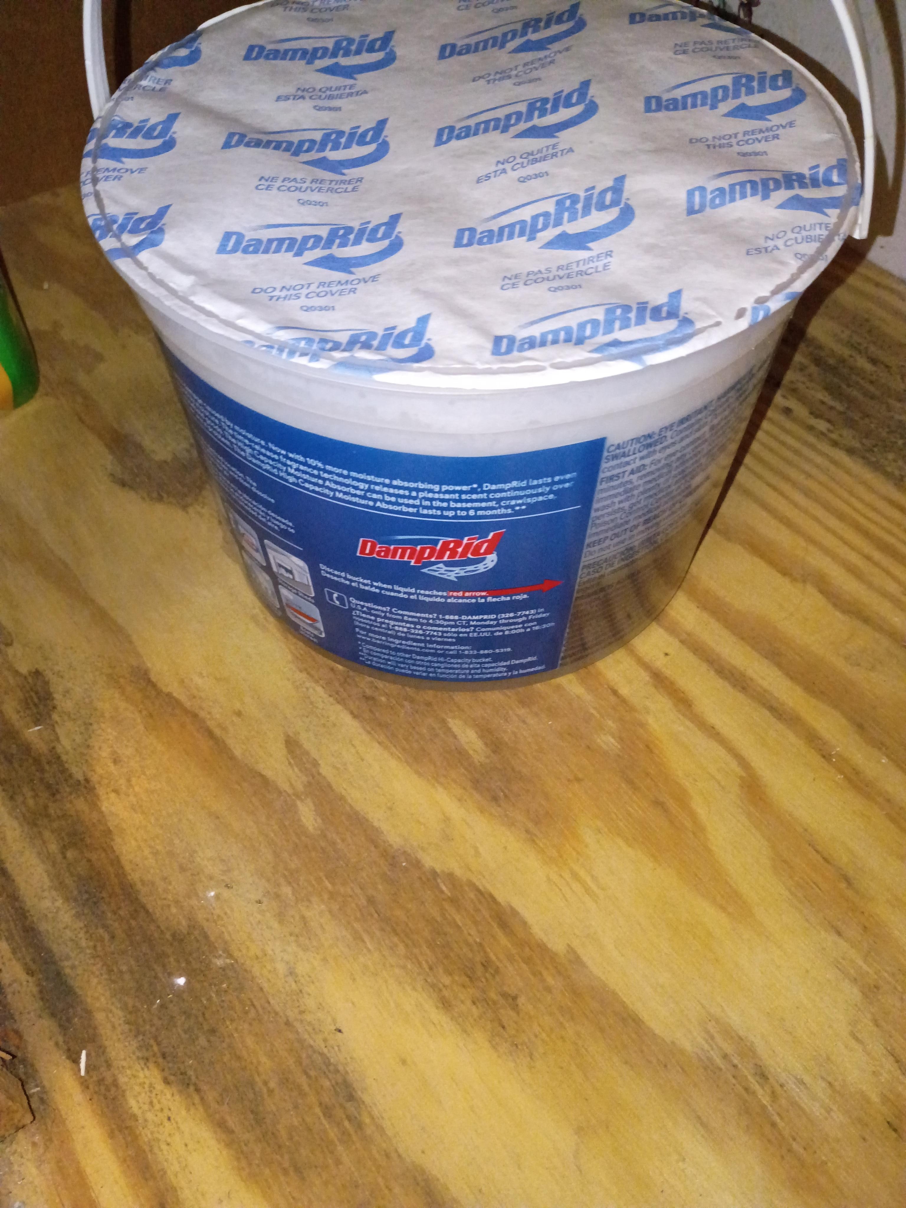 damprid to remove moisture in the air, but he never smelled mildew and the 5 room fresheners, but he never smelled mildew