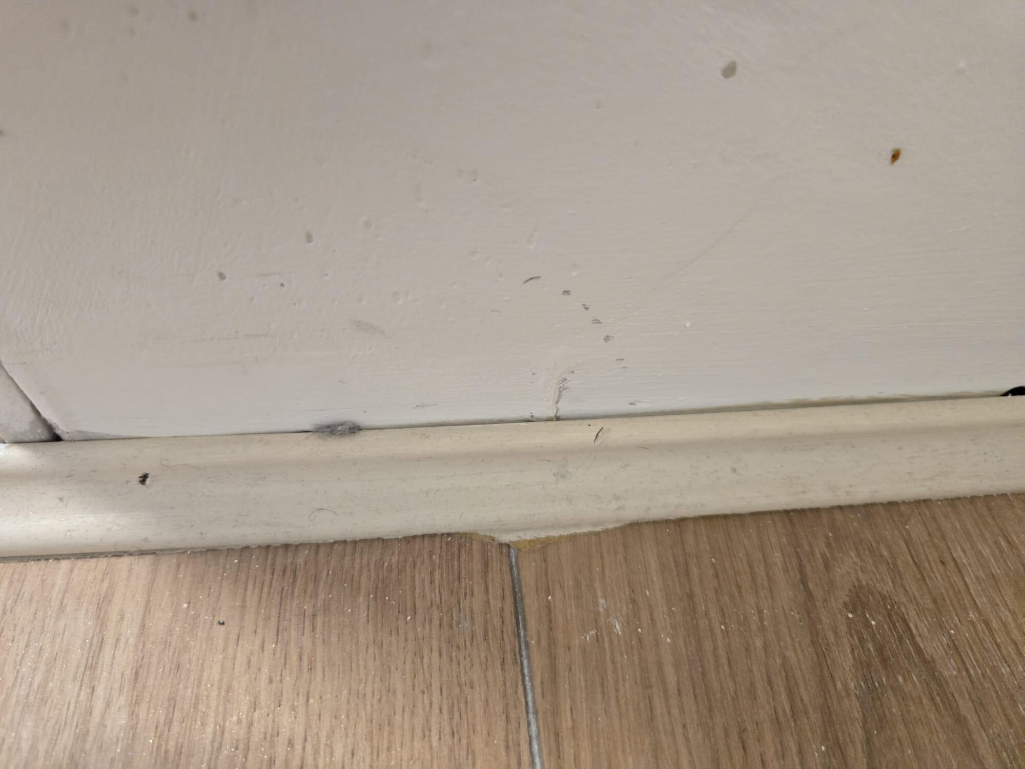 dirty and mold 