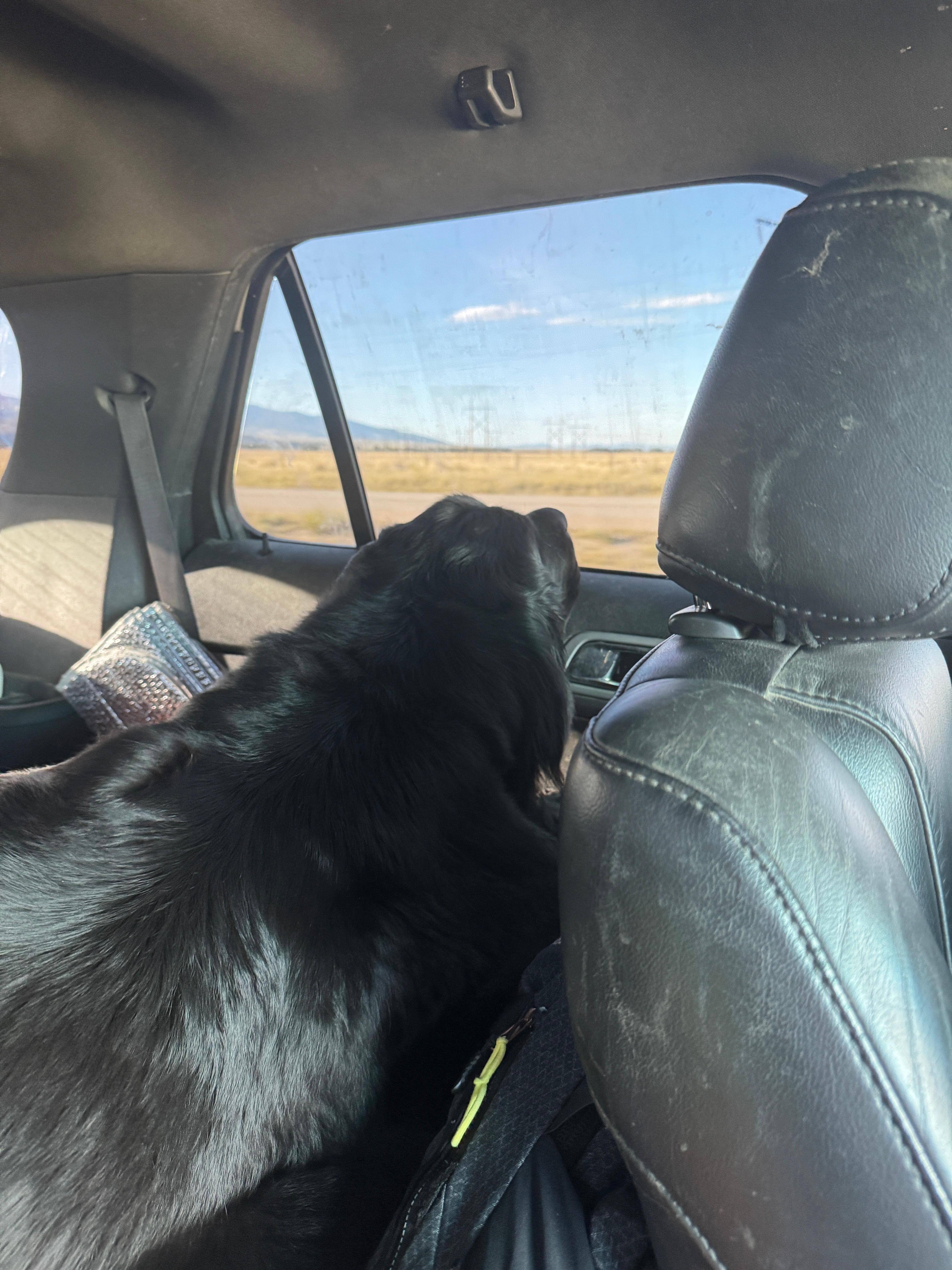 Are we there yet???
