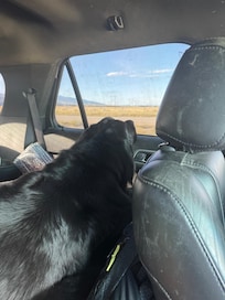 Are we there yet???
