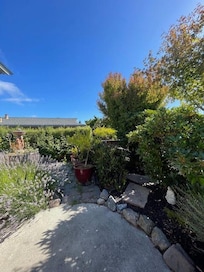 Beautiful landscaping/flowers in the front yard