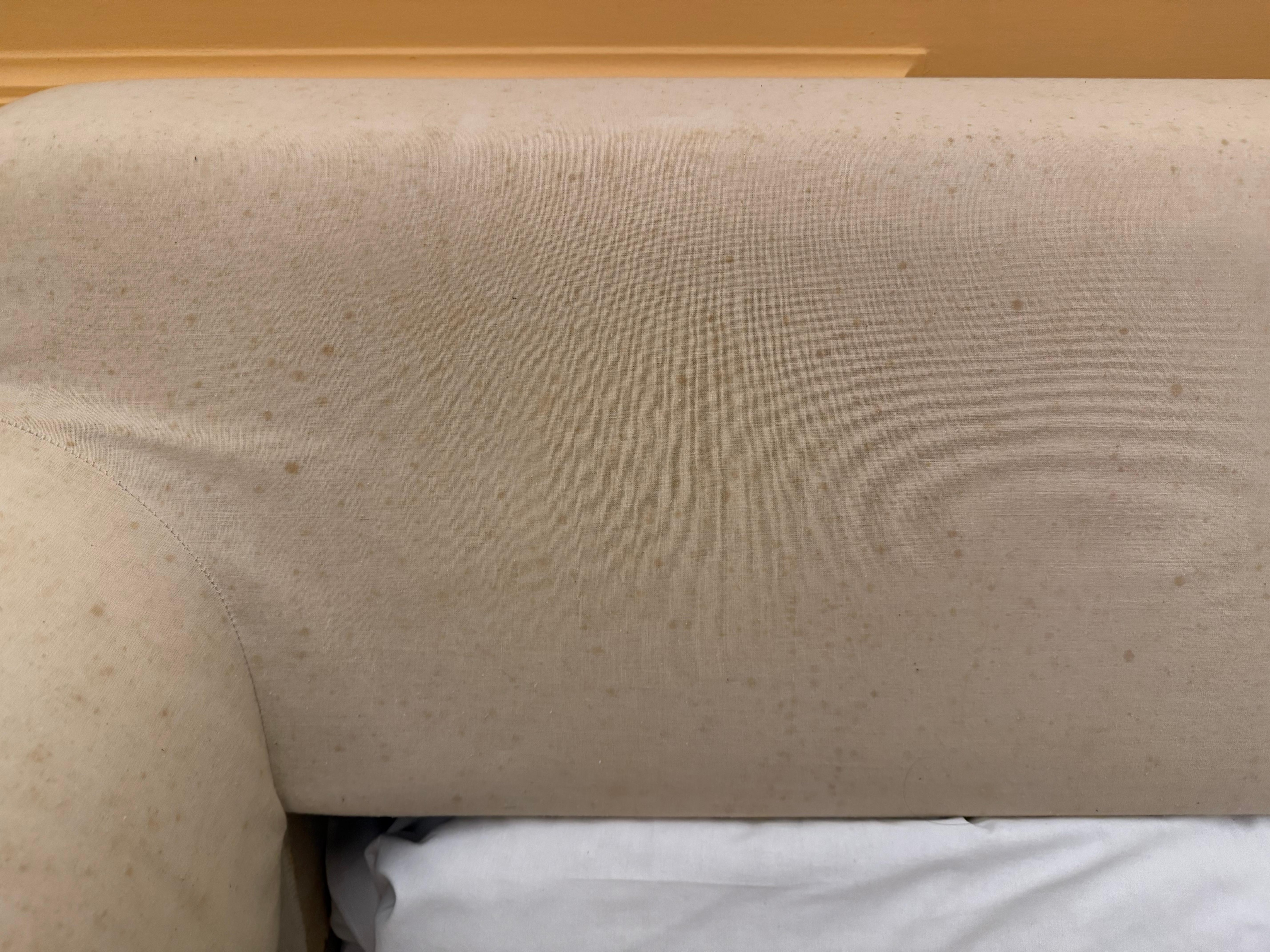 Mould on sofabed