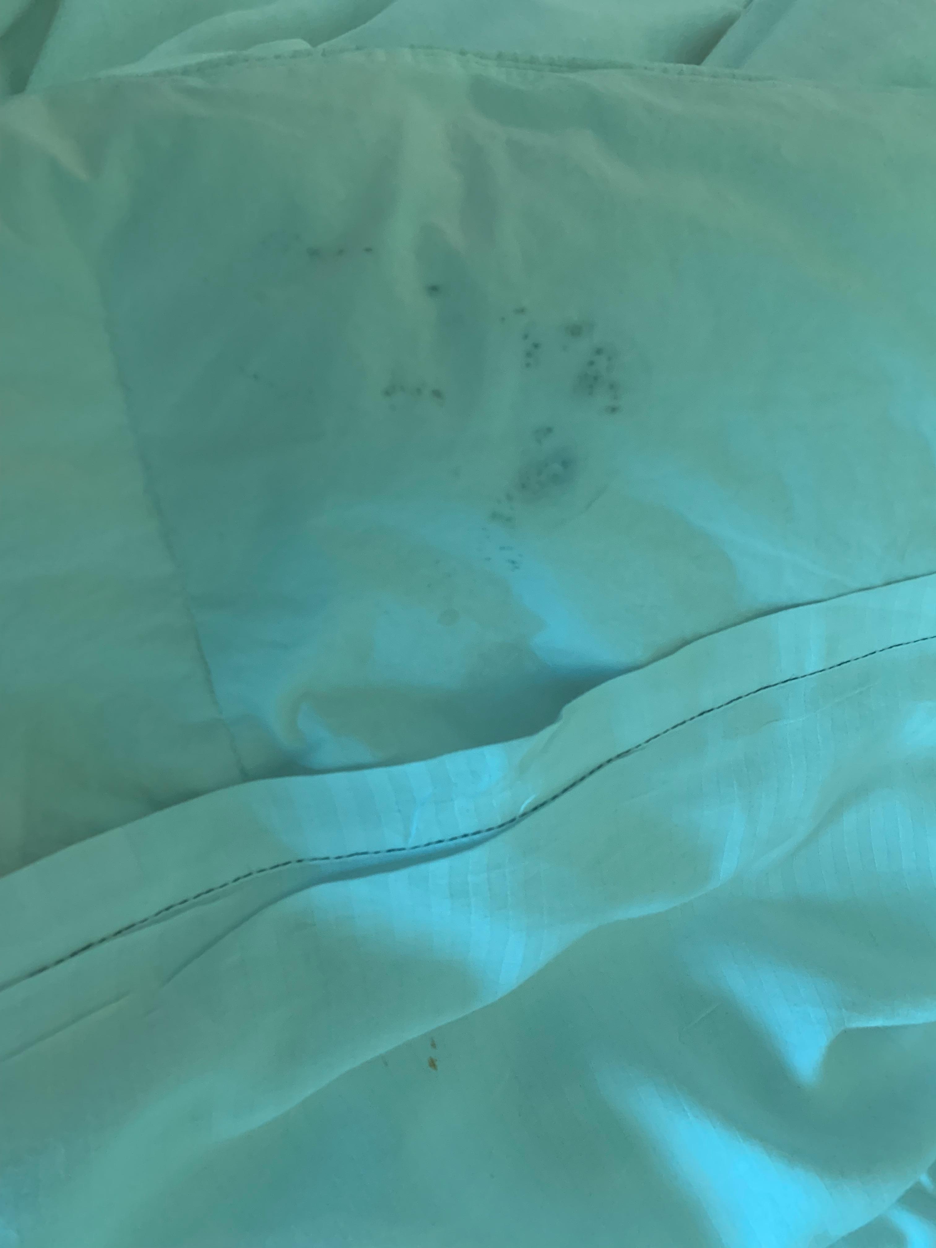 Not sure what this stain is … we ended up not using this cover by folding it towards our feet.