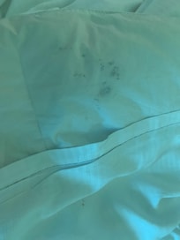 Not sure what this stain is … we ended up not using this cover by folding it towards our feet.