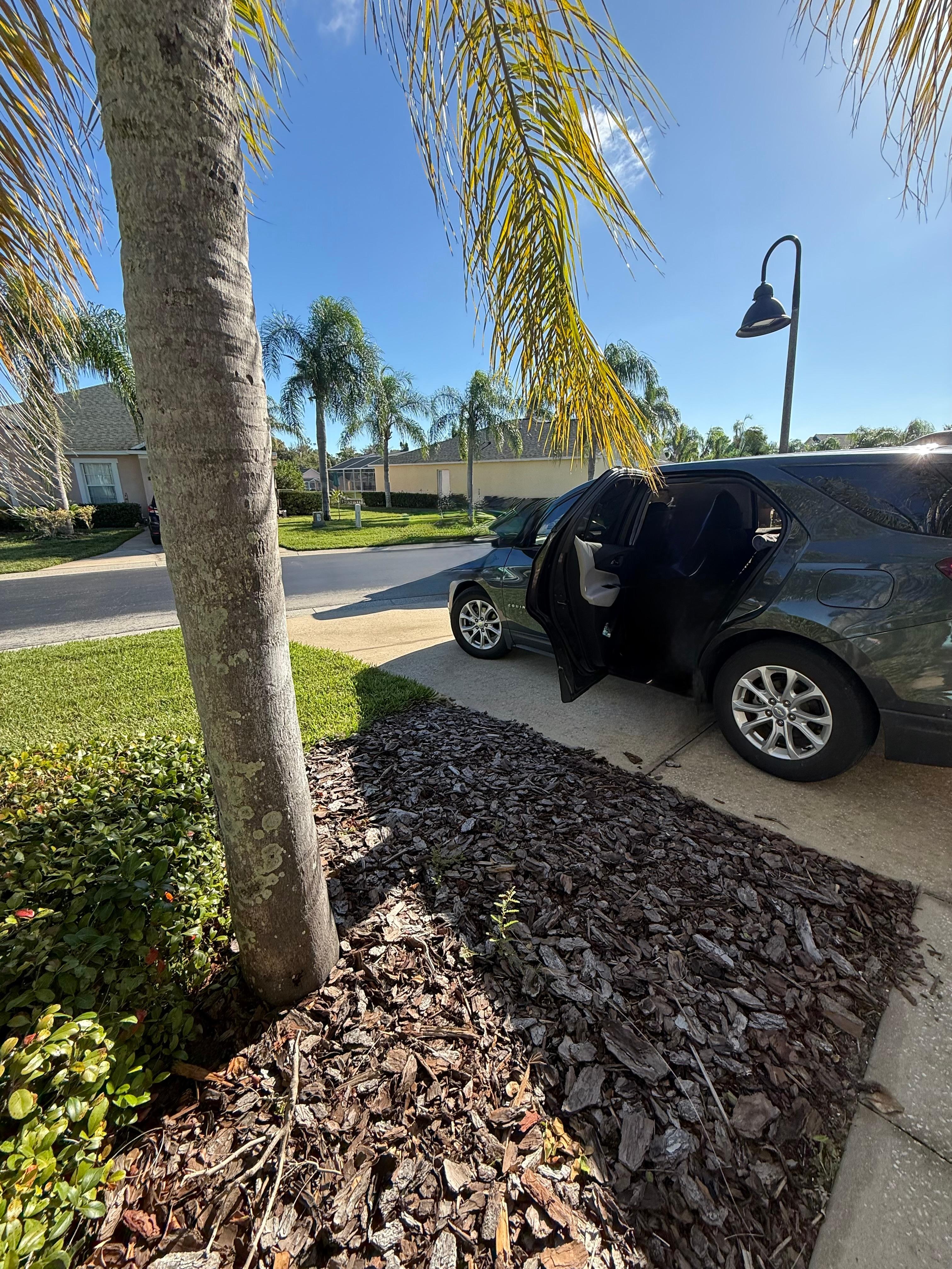 Beautiful neighborhood. Accessible parking.  Clean space both inside and outside the property