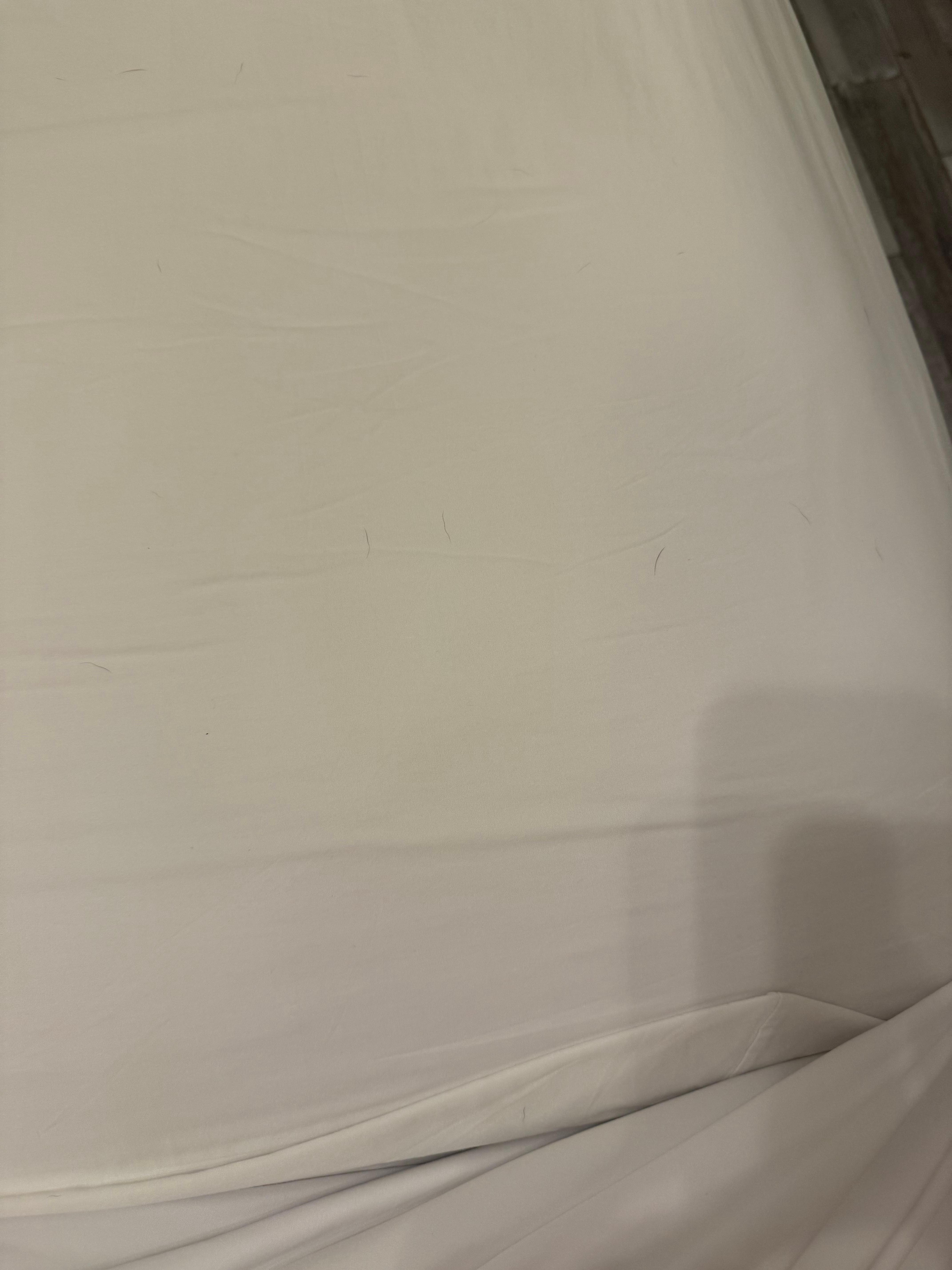 Dog hair on sheets