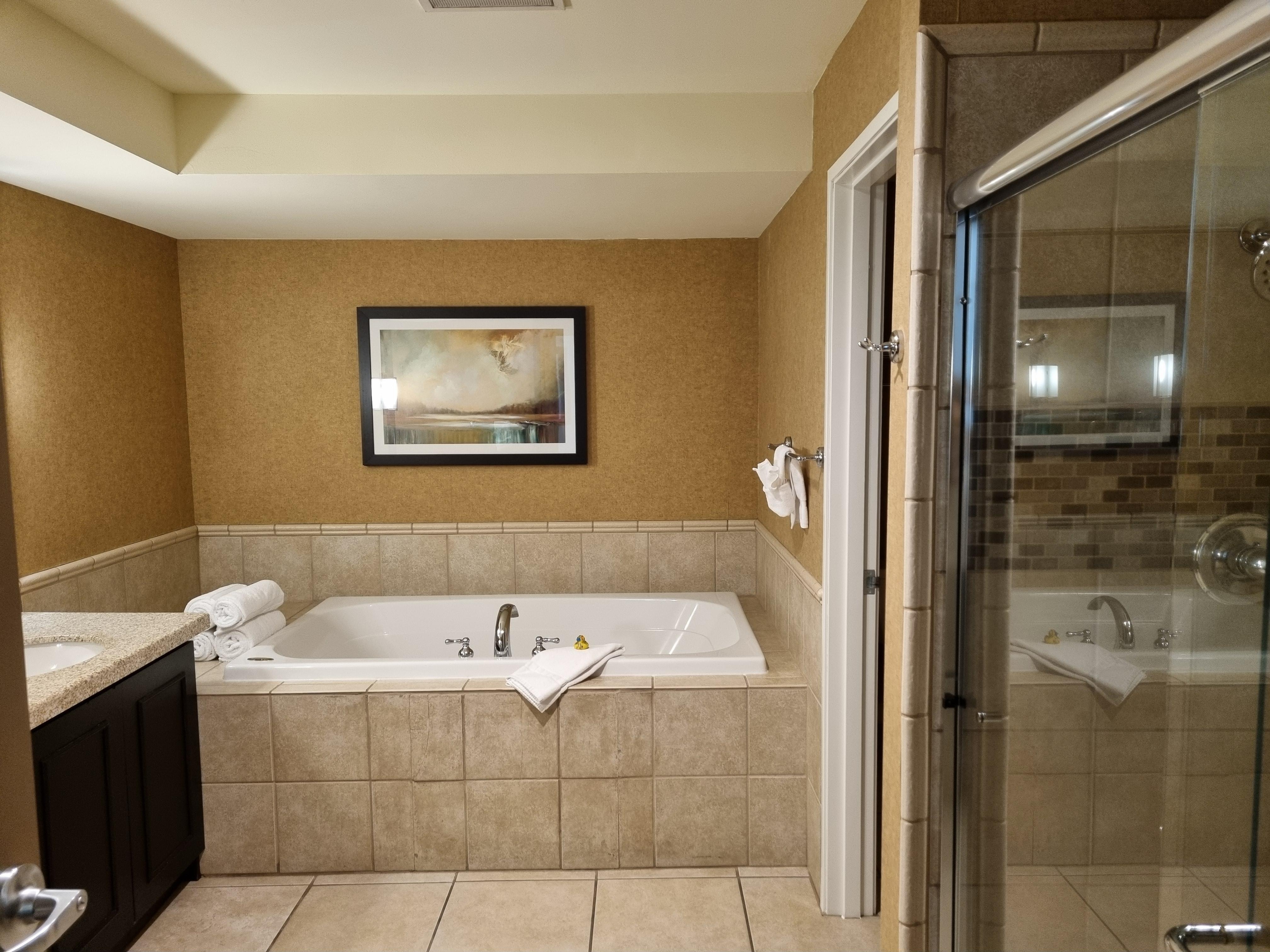 Big bathroom with a soak tub & shower
