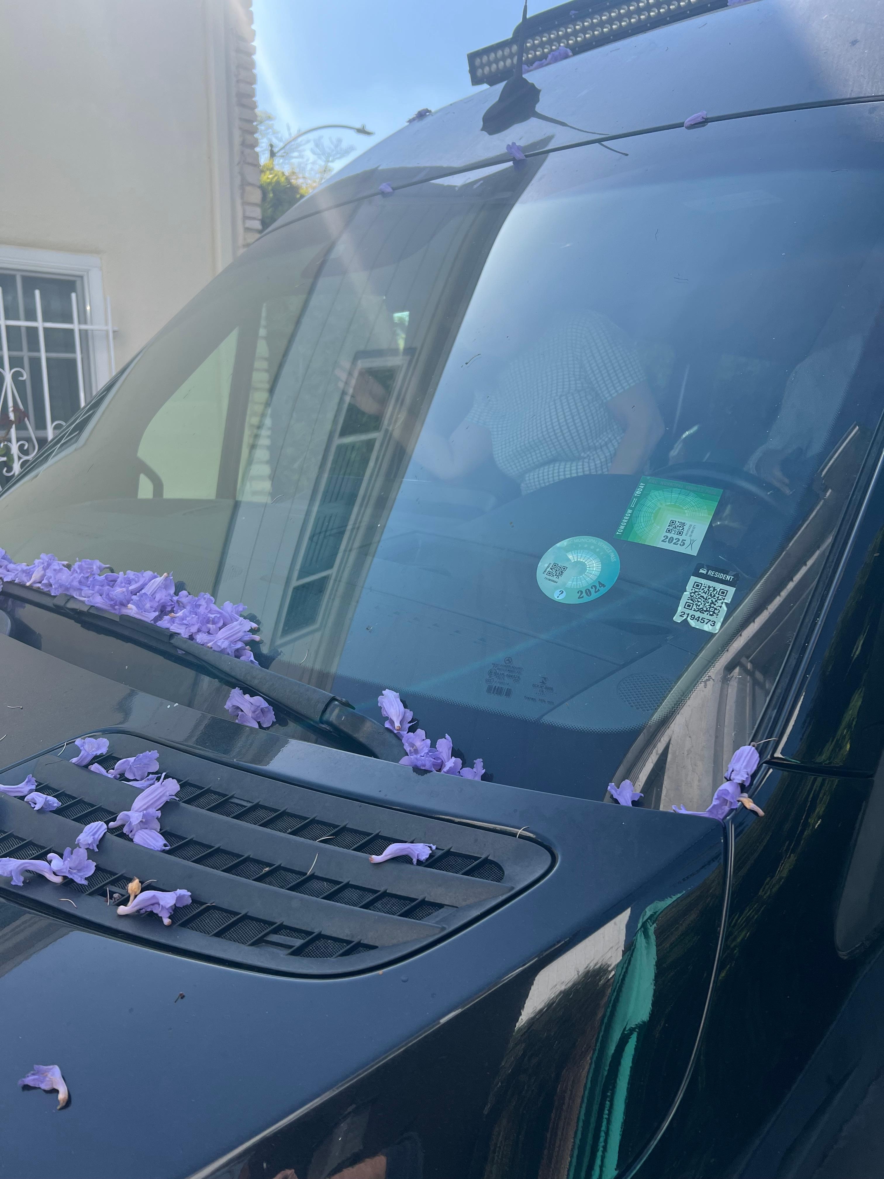 Purple flowers showered the van.  Super cool