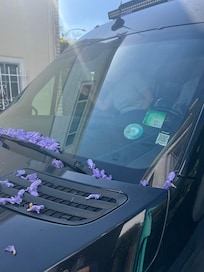 Purple flowers showered the van. Super cool
