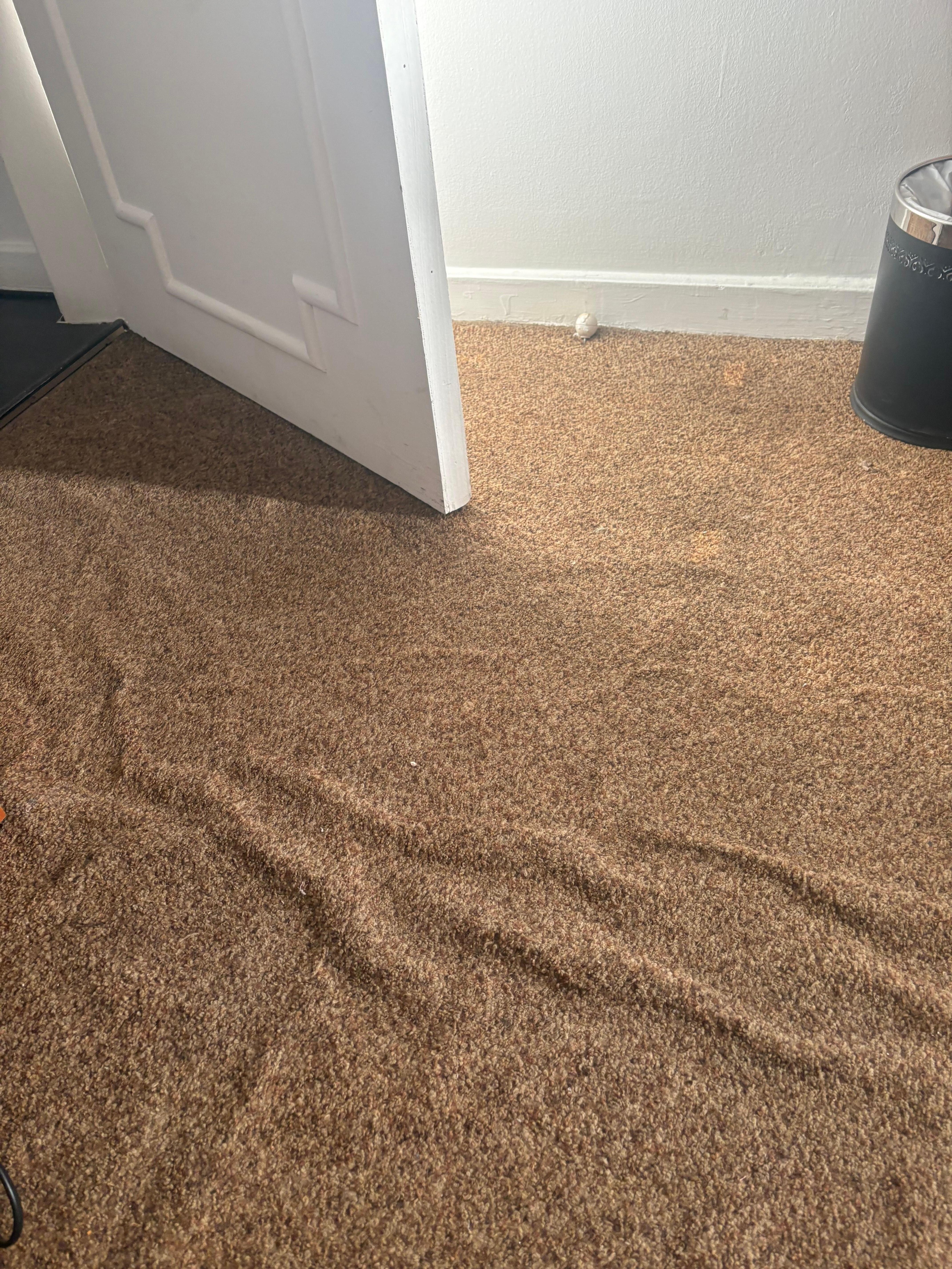 Alfombra entrada habitacion