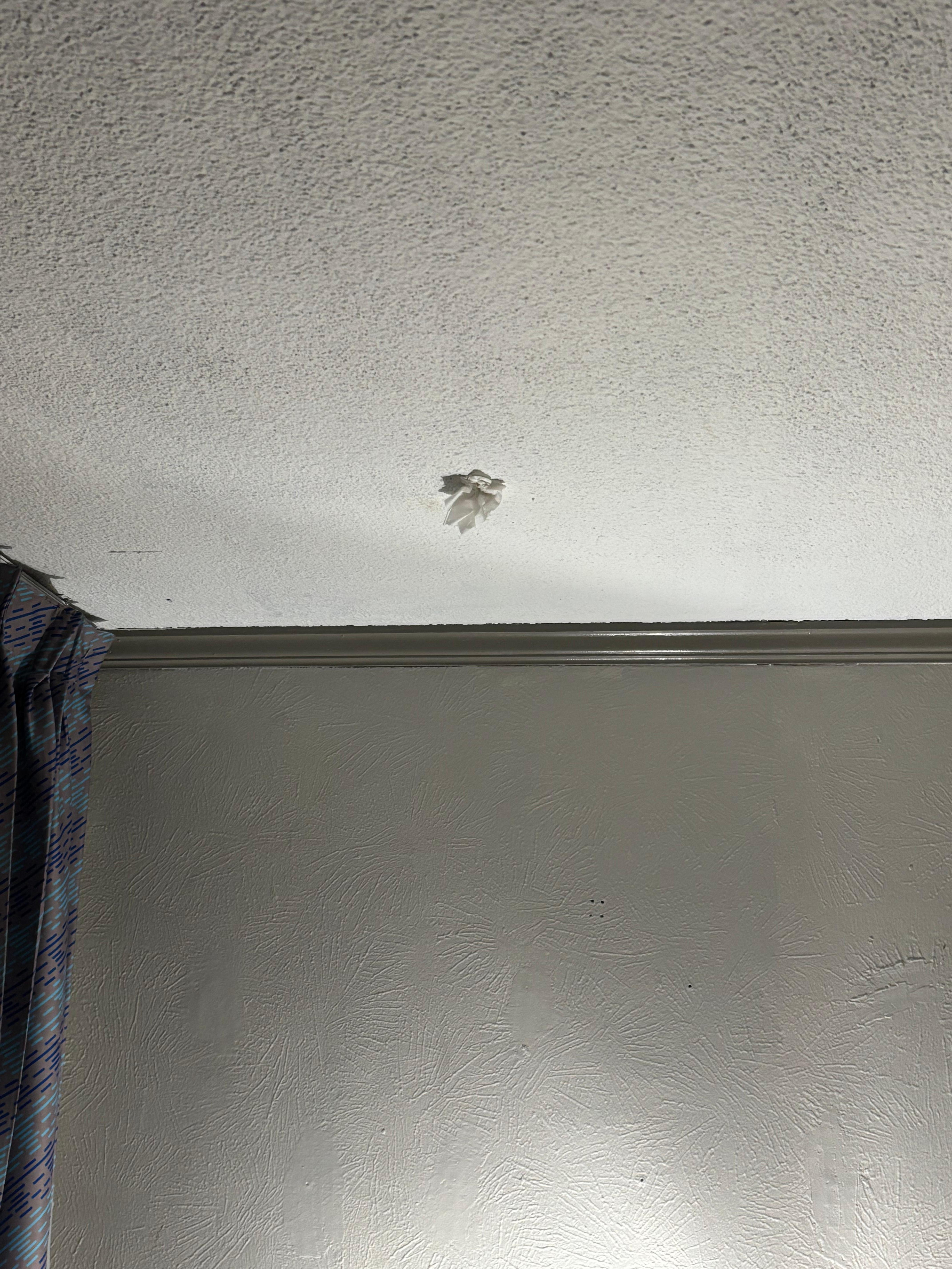 Tissue on ceiling