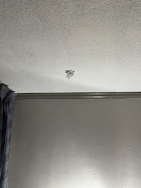 Tissue on ceiling