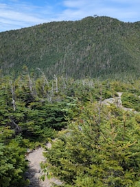 Mt. Carrigain-16 Miles Away