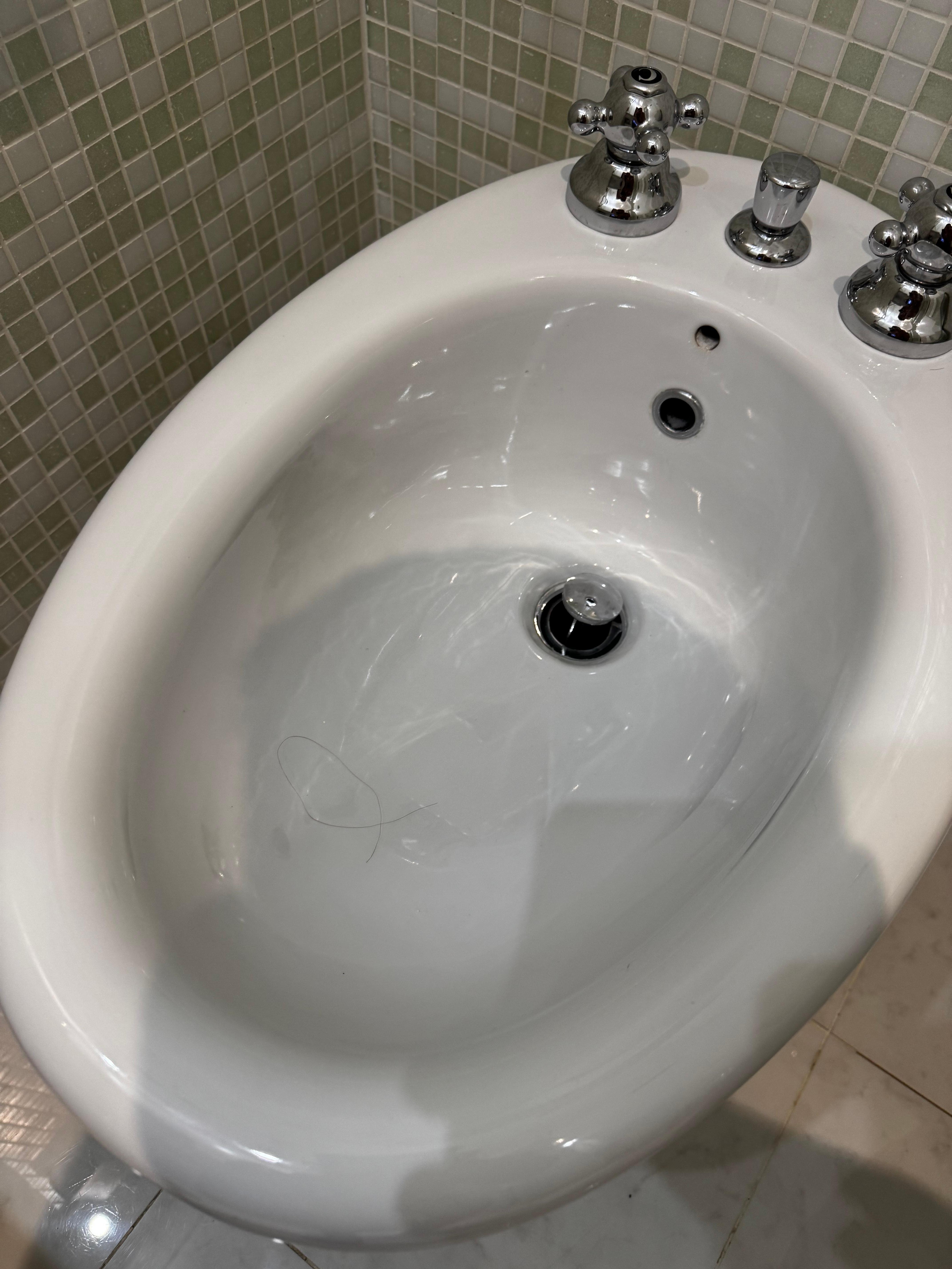 Hair in bidet 