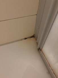 Dusche schwarzer Schimmel