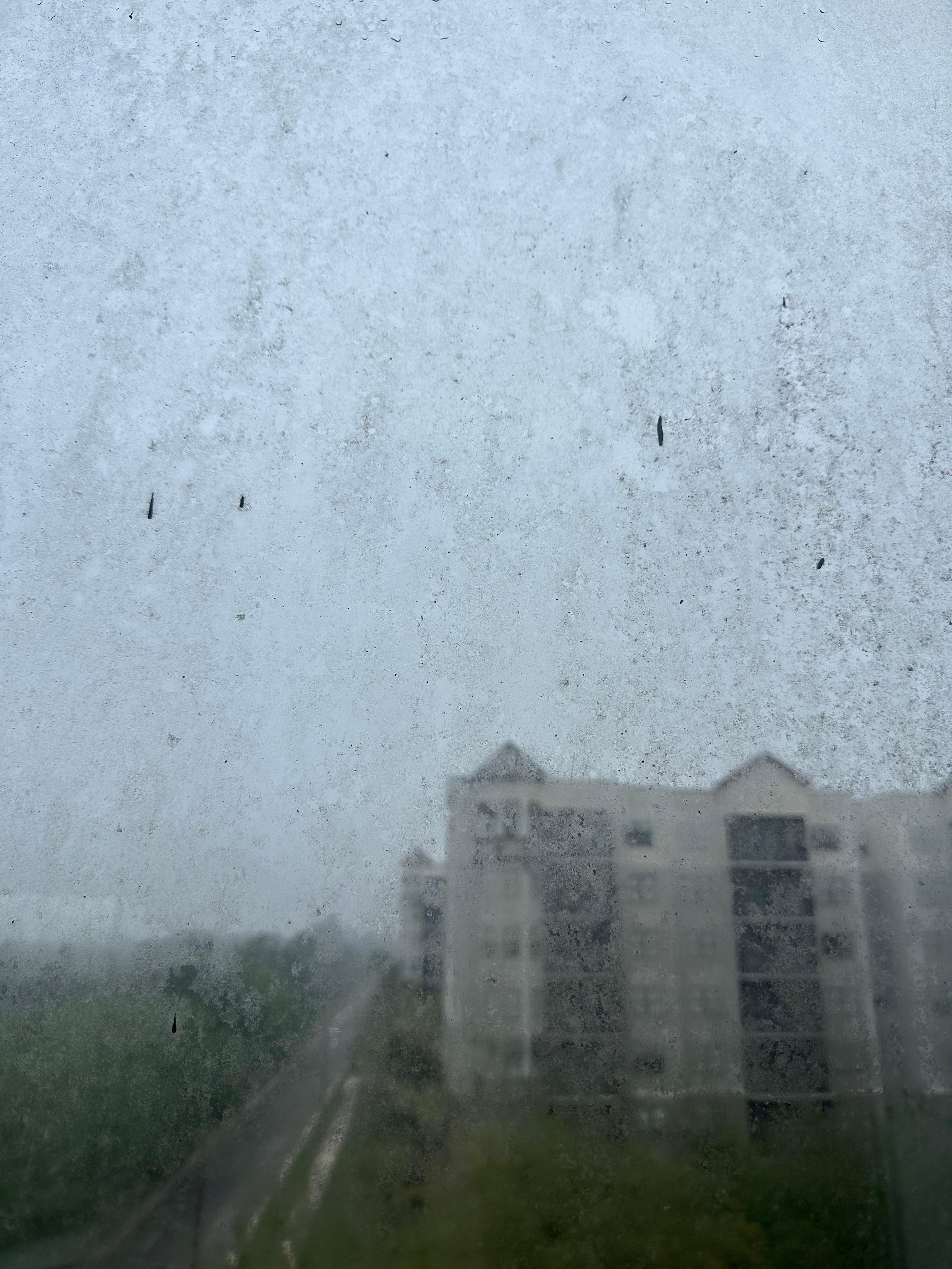 Our windows.