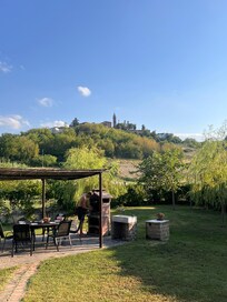 View from the garden