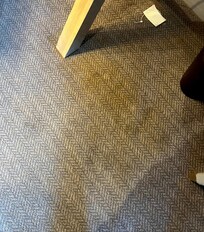 1 of 3 Large what looks to be coffee stains on the carpet