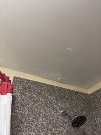 Tissue in the ceiling hole.