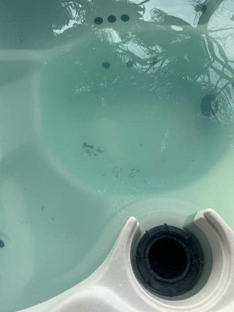 Lots of dirt in the bottom