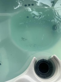 Lots of dirt in the bottom