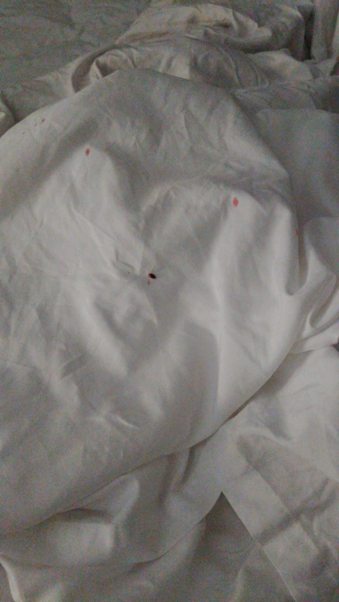 More bed bugs