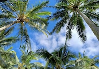 lying on the deck and looking up