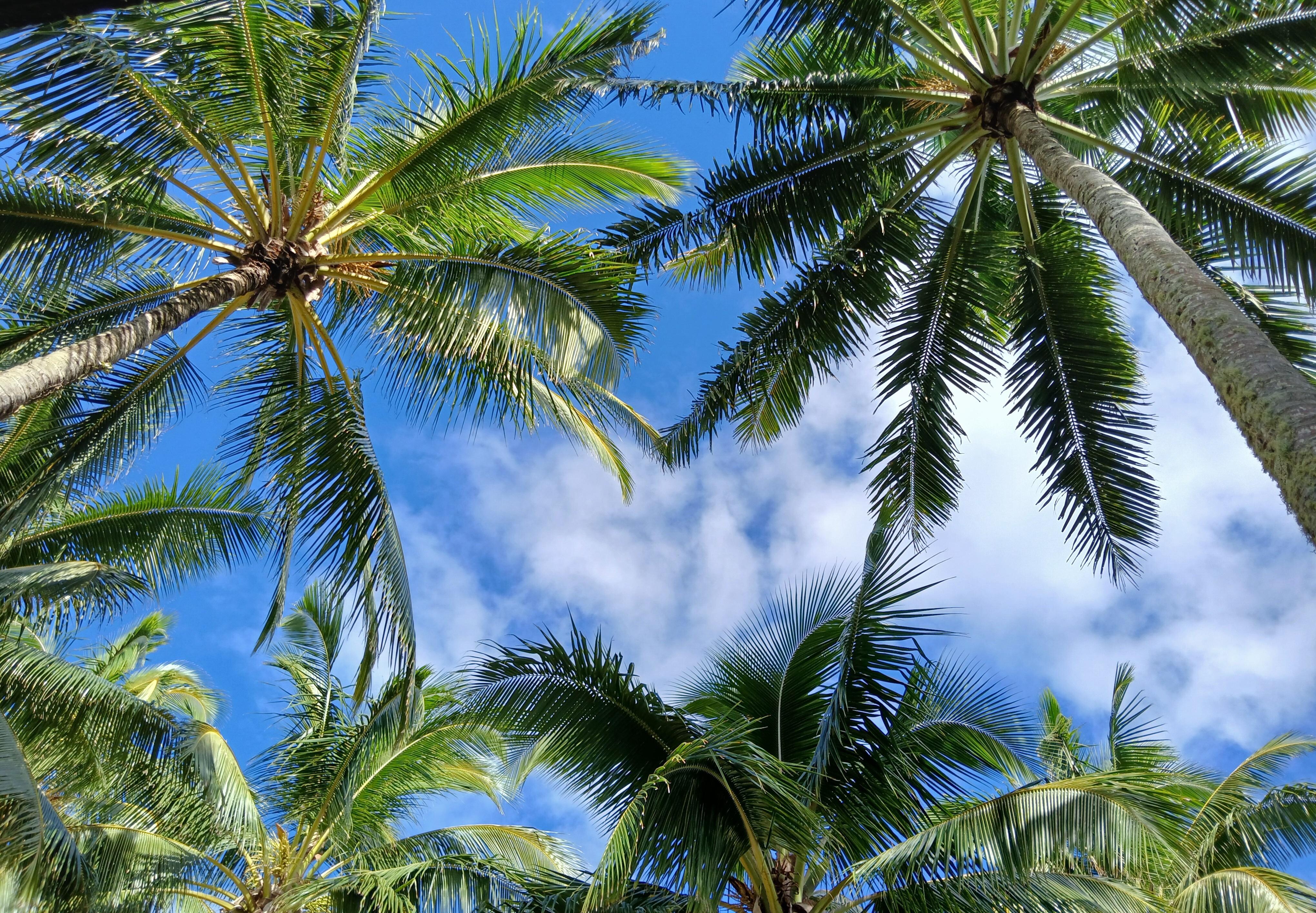 lying on the deck and looking up