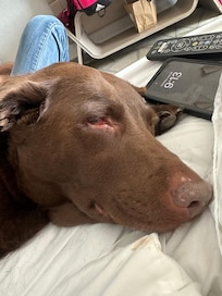 I just wish they would have put me on the ground floor or at least close to the elevator