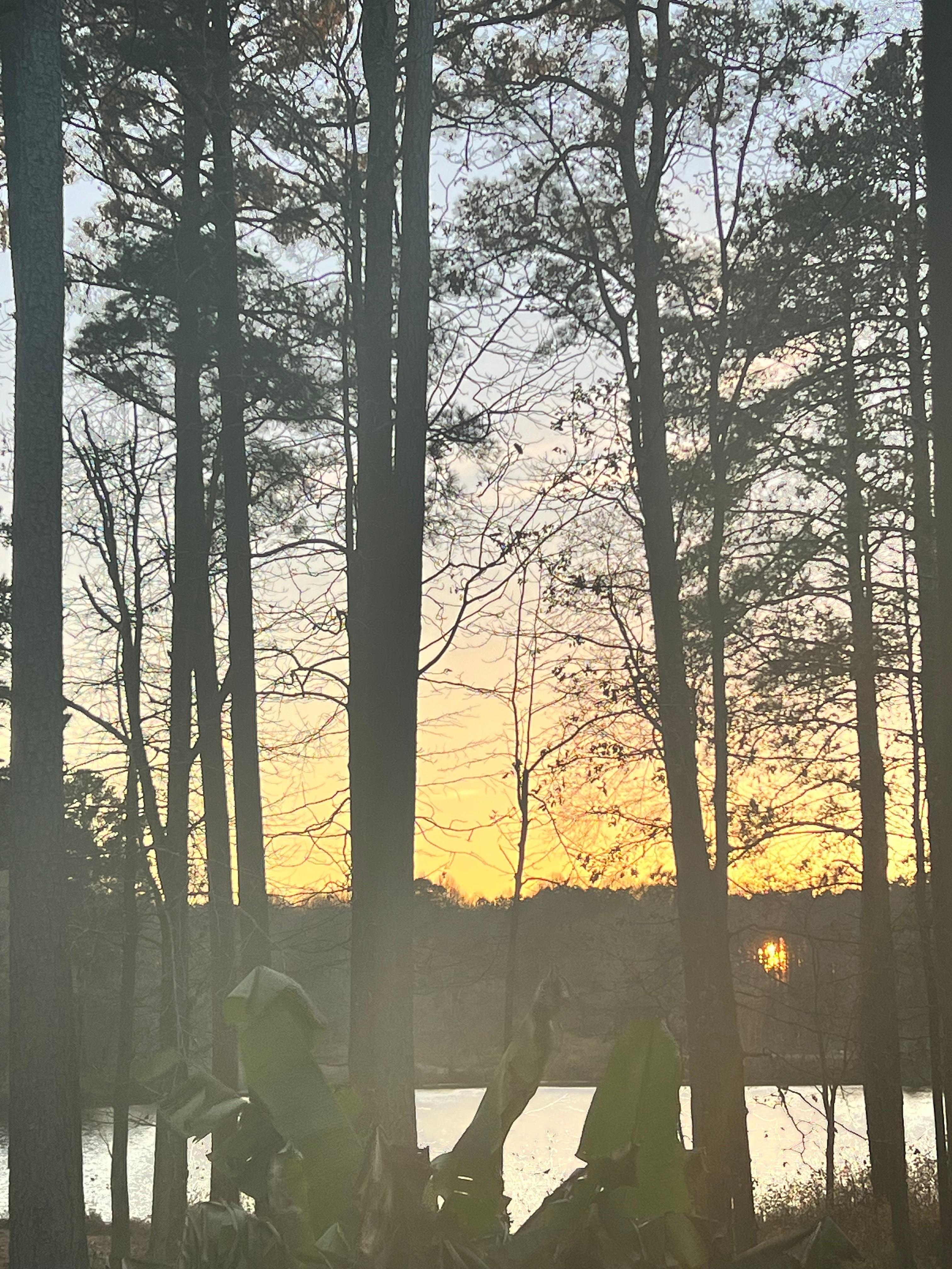 The view of the sun setting from the front porch.