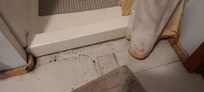 Bathroom. Mildew on curtains and dirty floor. The floor mat was filthy.