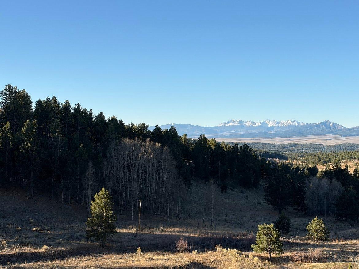 View from the upstairs balcony
