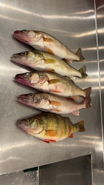 2 hours of fishing at Aronson’s