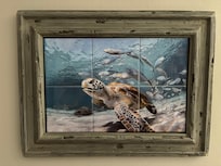 A photo inside the house. My nickname is Turtle so I love everything turtles!