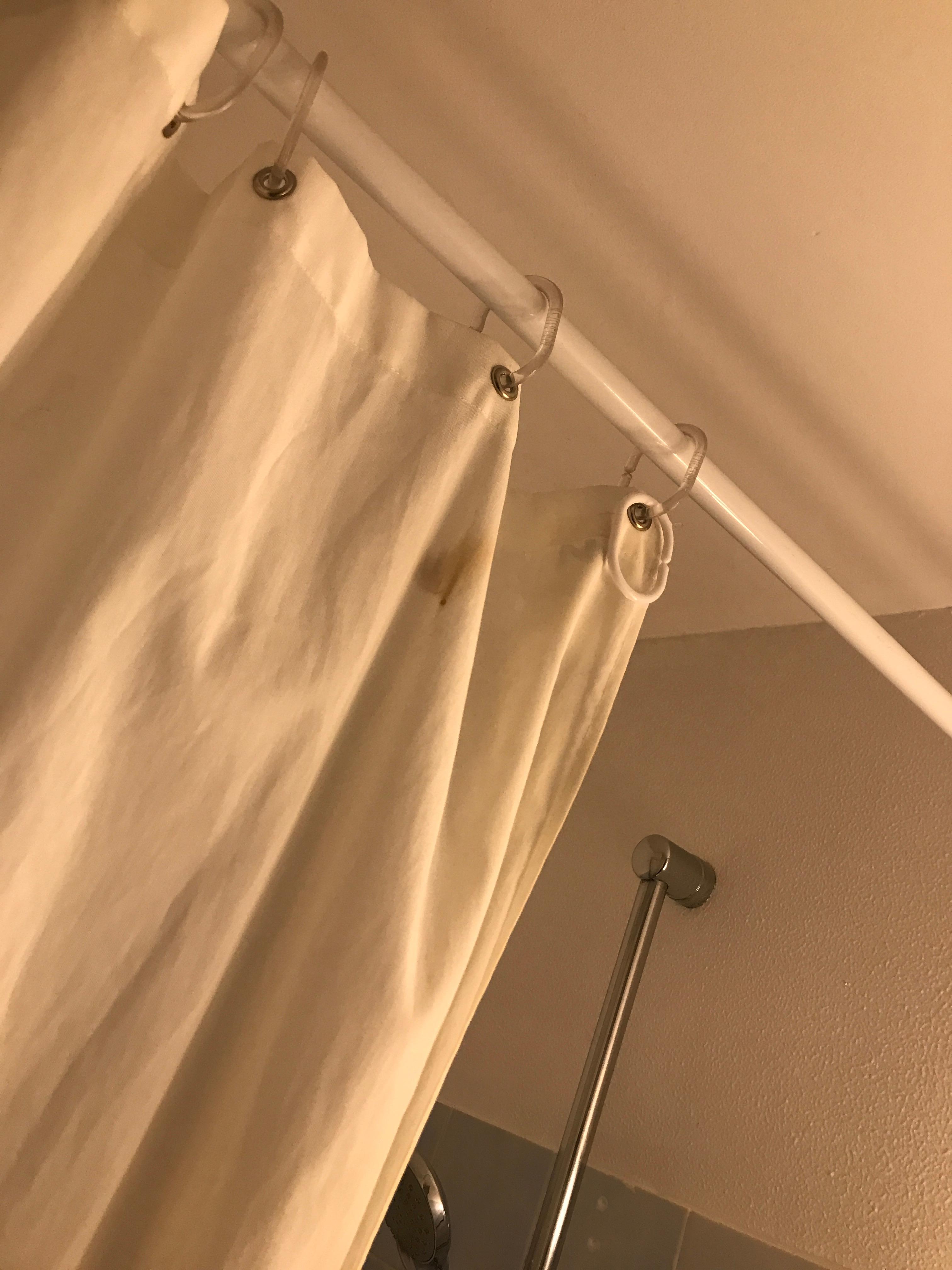 Dirty shower curtain in first room