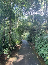 The garden