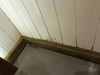 Ikke rent bad
