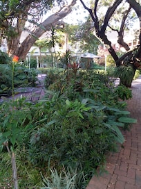 A small tatse of the garden