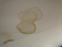 More mold and water damages