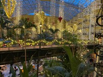 Beautifully decorated for Christmas