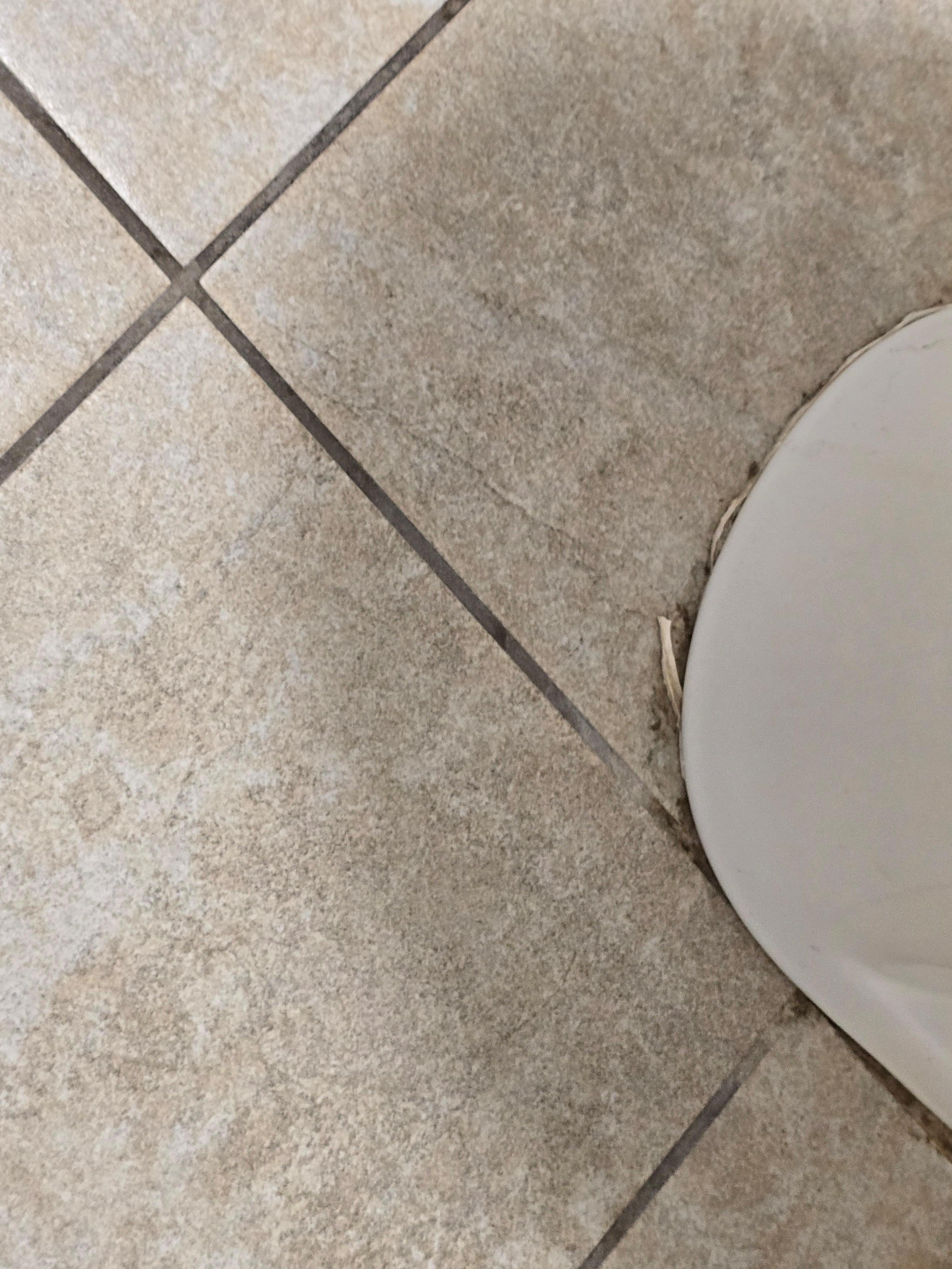 Bathroom floor dirty