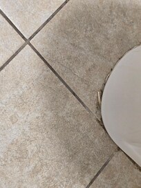 Bathroom floor dirty