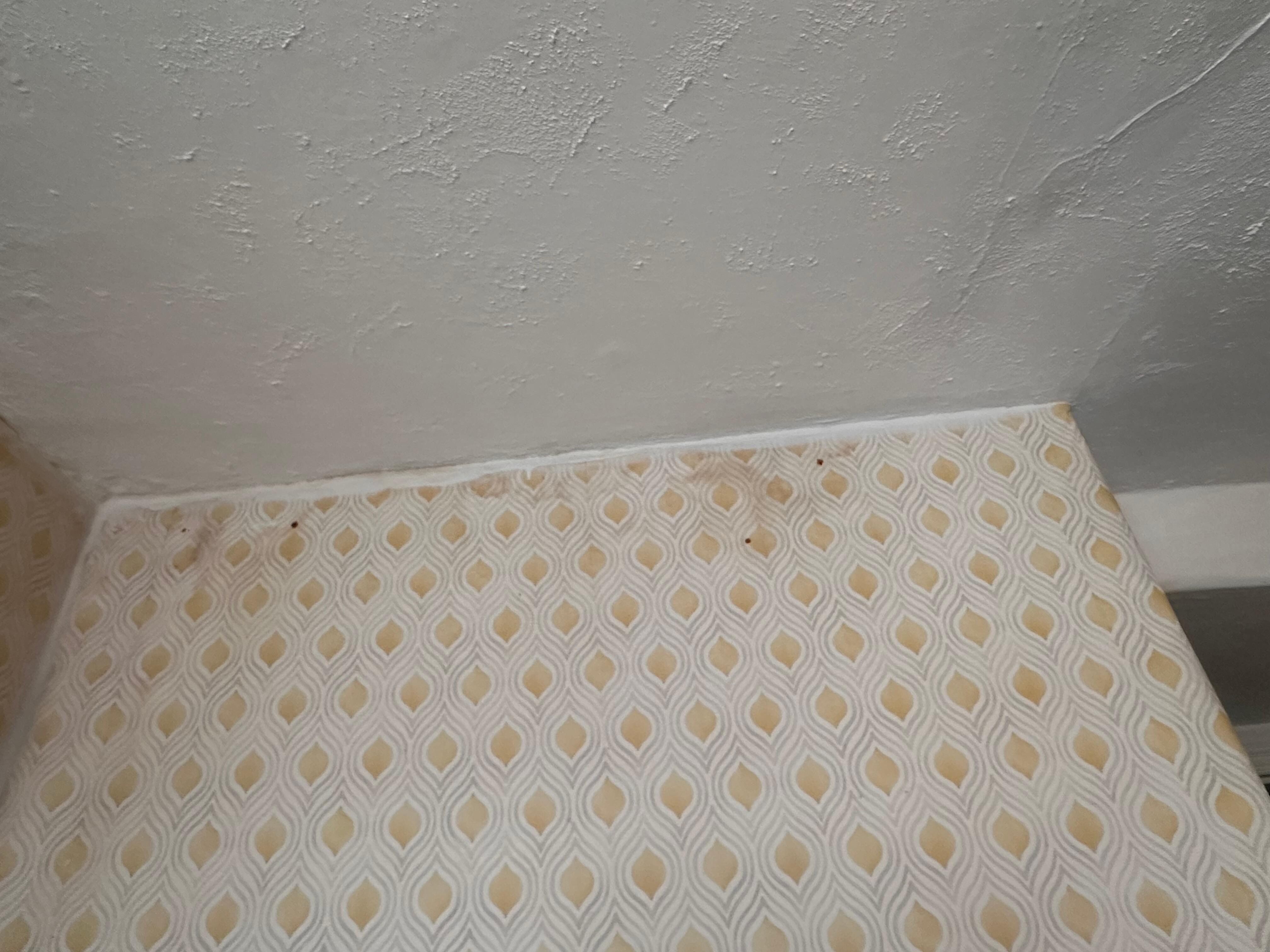 Top of dining too wall