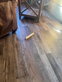 Cabin was great just needs to be cleaned better. Lots of dog hair and I found an old dog bone .!we vacuumed when we got there. Love the cabin and will stay again but the cleaners need to do better