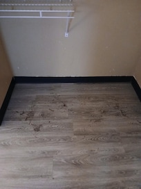 Dirt and leafs in the entry way🍃