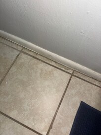 Disgusting bathroom floor.