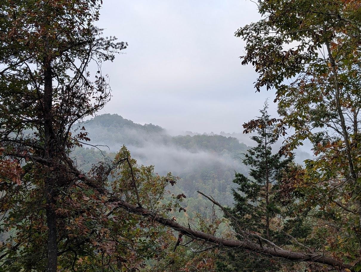 Nice view through the trees from hot tub.