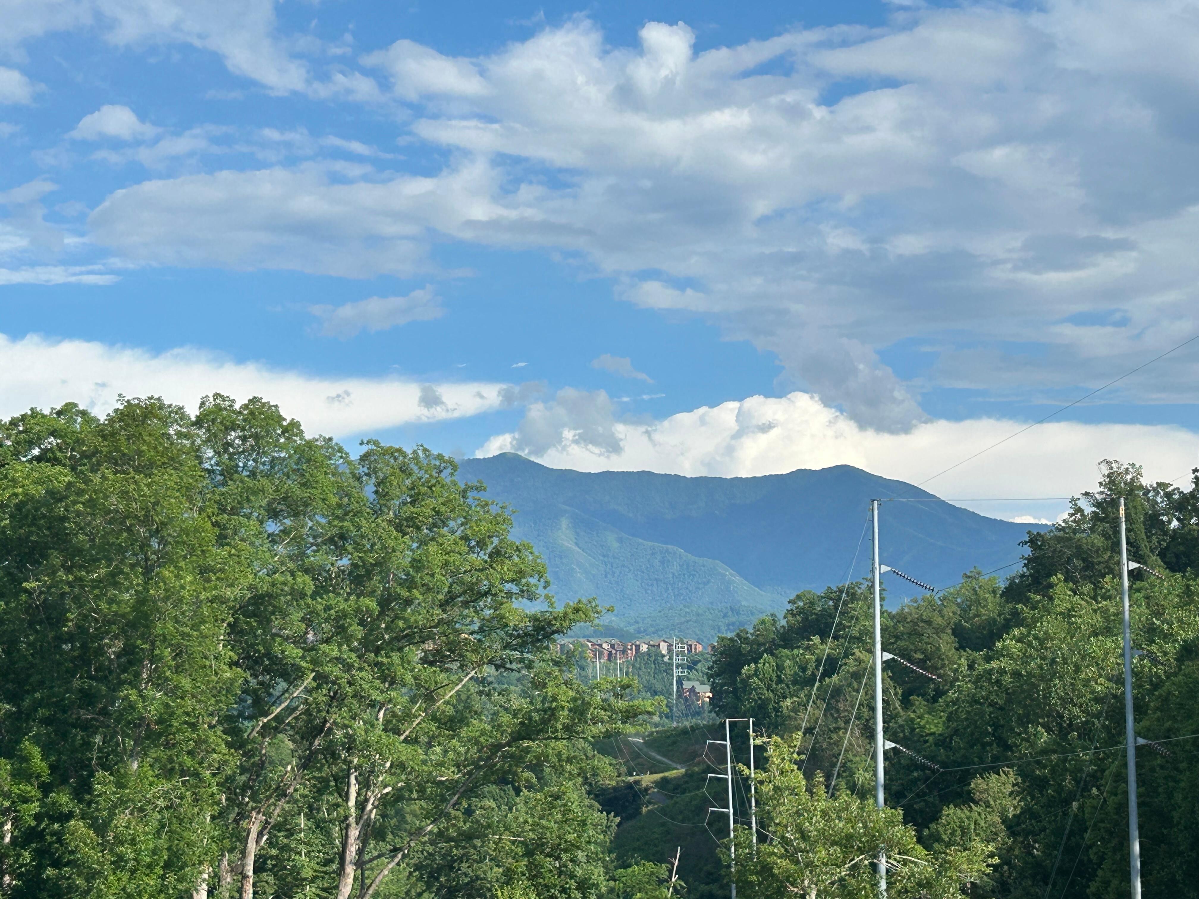 Beautiful deck views 