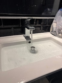 Sink plugged