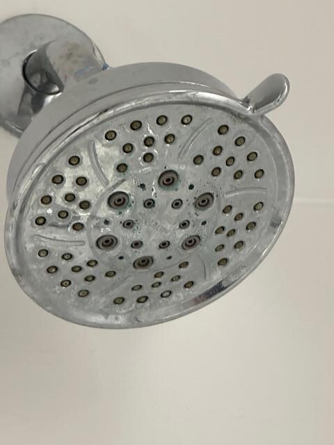 Calcified shower head